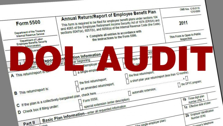 Form-5500-DOL-audit